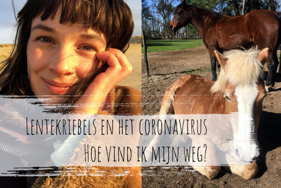 De week van Irene – photo blog 28