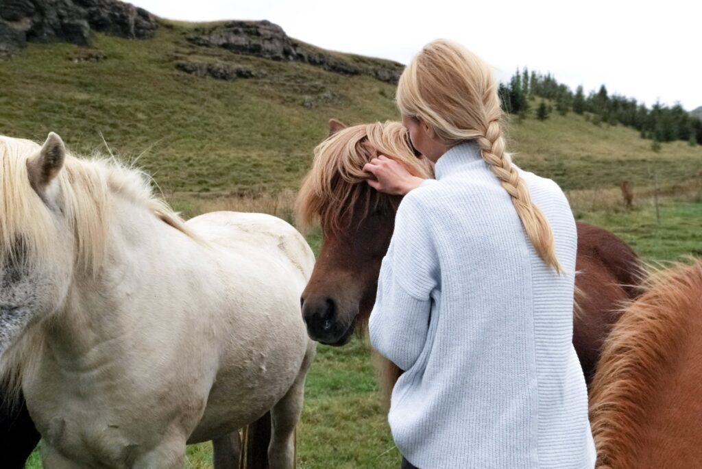 Hoe paarden mij helpen herstellen