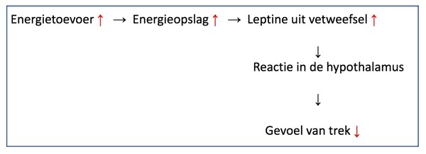 setpoint gewicht