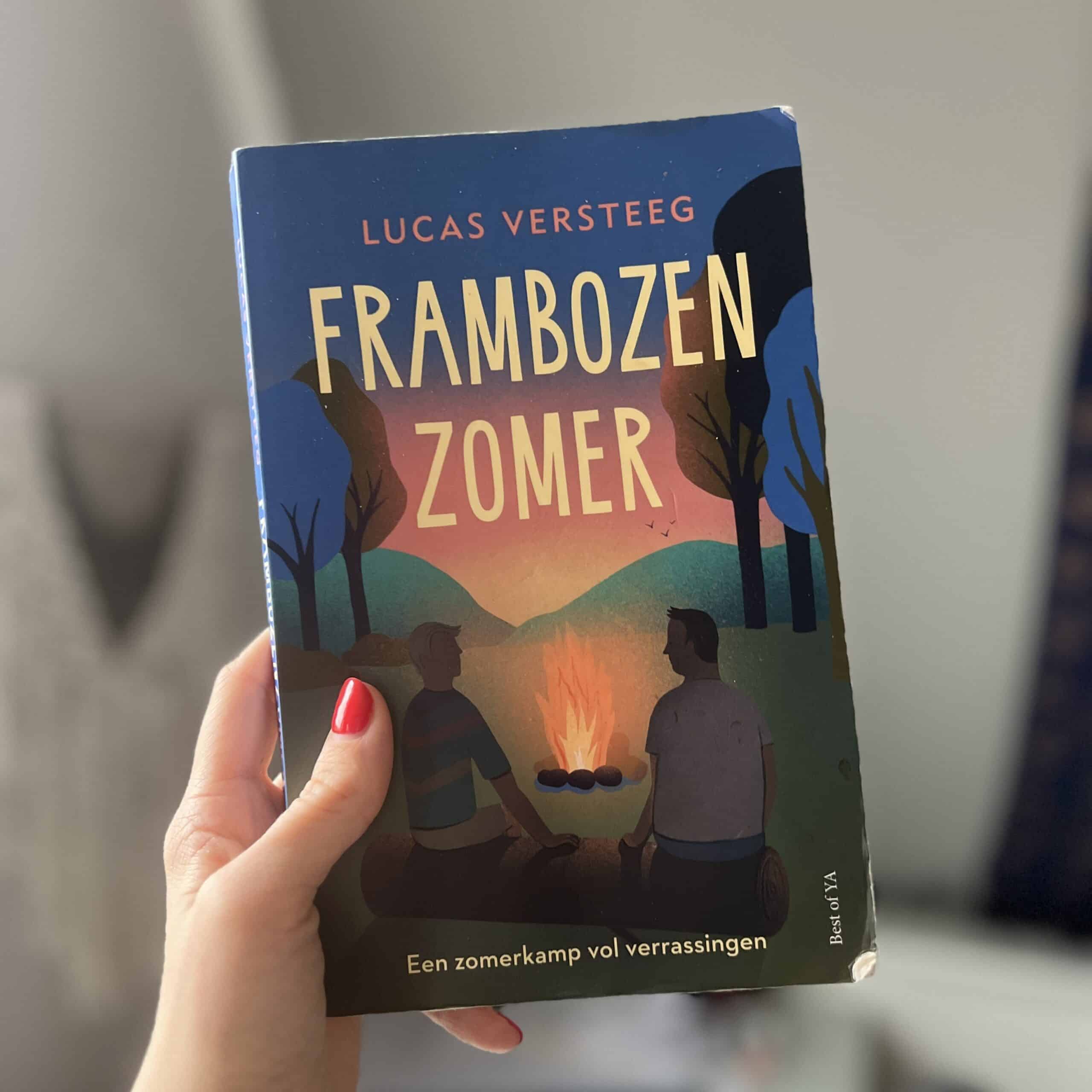 Frambozenzomer: Een boek over Body image bij jongens